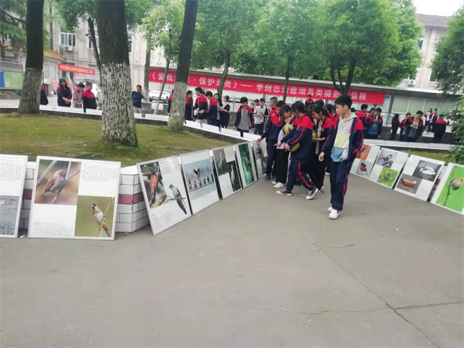 沅江二中爱我洞庭保护鸟类宣传活动进校园